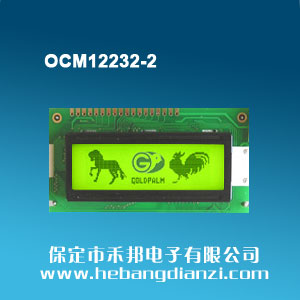 OCM12232-2 SG5V